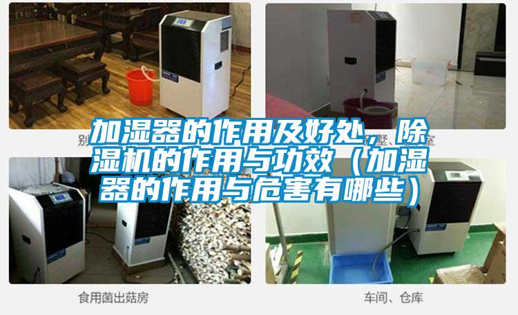 加濕器的作用及好處，除濕機的作用與功效（加濕器的作用與危害有哪些）