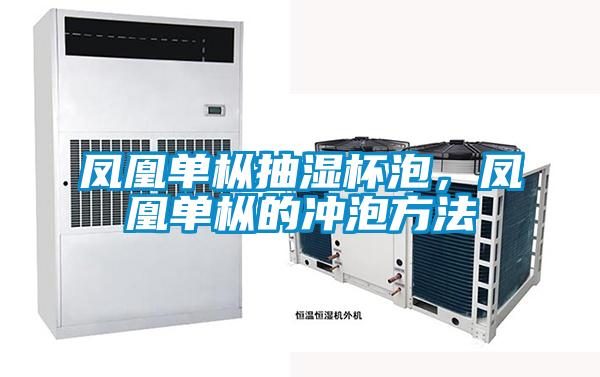 鳳凰單樅抽濕杯泡，鳳凰單樅的沖泡方法
