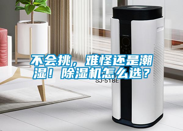 不會挑，難怪還是潮濕！除濕機怎么選？