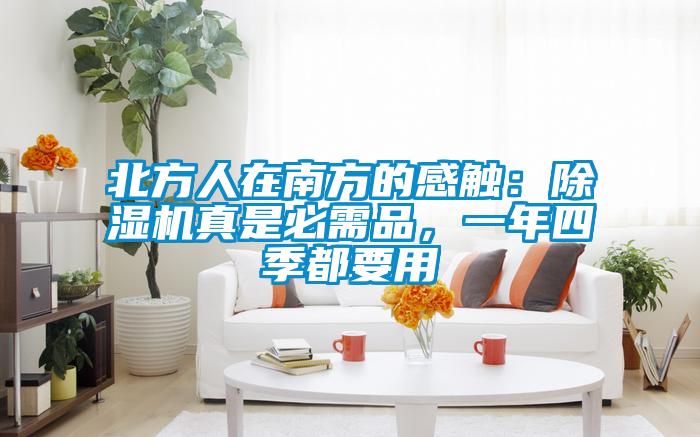 北方人在南方的感觸：除濕機真是必需品，一年四季都要用