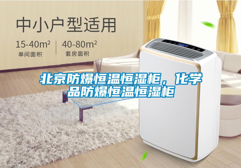 北京防爆恒溫恒濕柜，化學品防爆恒溫恒濕柜