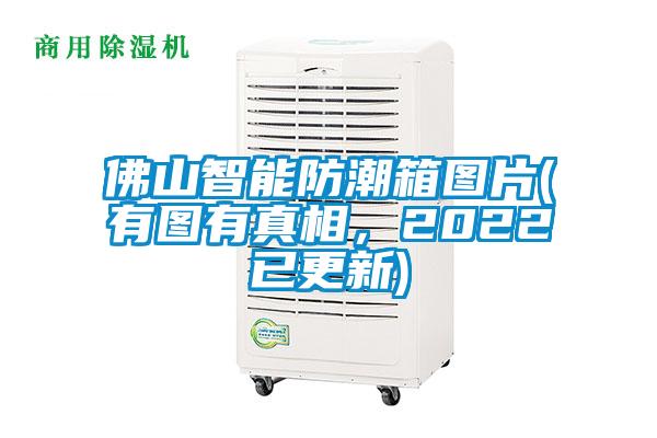 佛山智能防潮箱圖片(有圖有真相，2022已更新)