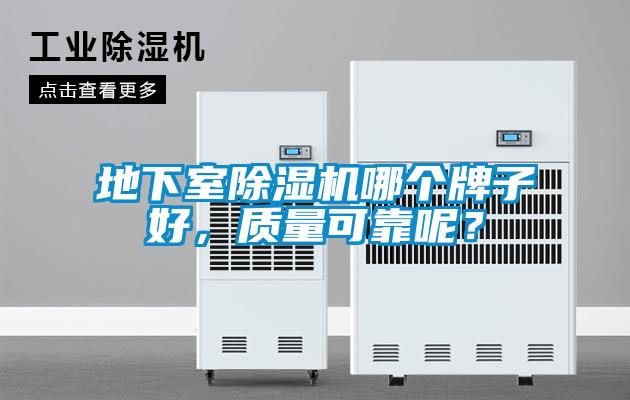 地下室除濕機哪個牌子好，質量可靠呢？