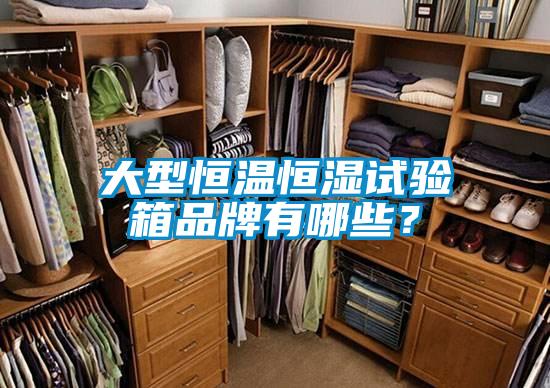 大型恒溫恒濕試驗箱品牌有哪些？