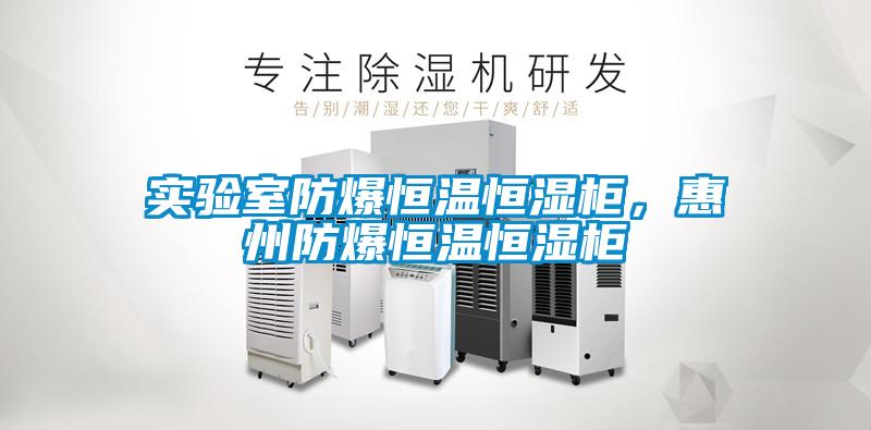 實驗室防爆恒溫恒濕柜，惠州防爆恒溫恒濕柜