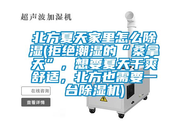 北方夏天家里怎么除濕(拒絕潮濕的“桑拿天”，想要夏天干爽舒適，北方也需要一臺除濕機)