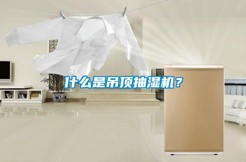 什么是吊頂抽濕機？