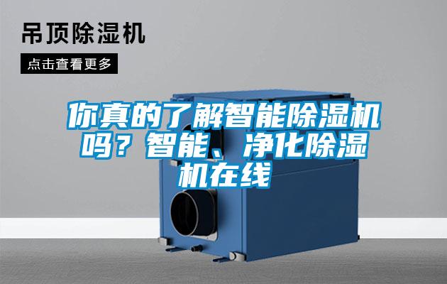 你真的了解智能除濕機嗎？智能、凈化除濕機在線