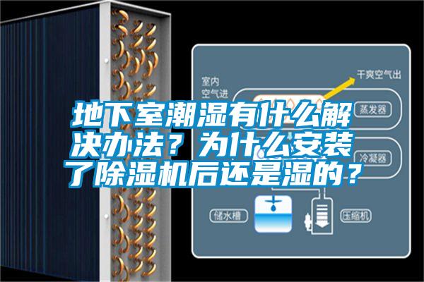 地下室潮濕有什么解決辦法？為什么安裝了除濕機后還是濕的？