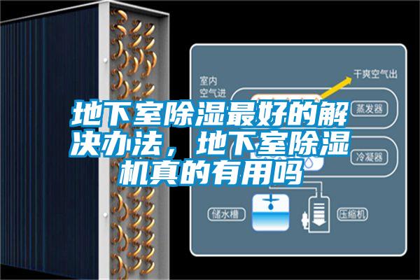 地下室除濕最好的解決辦法，地下室除濕機真的有用嗎
