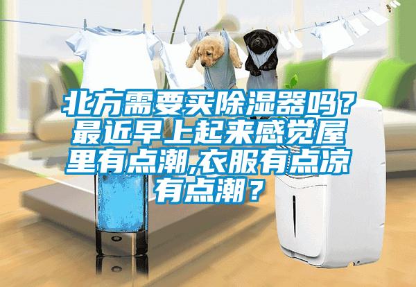 北方需要買除濕器嗎？最近早上起來感覺屋里有點潮,衣服有點涼有點潮？