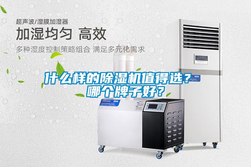 什么樣的除濕機值得選？ 哪個牌子好？