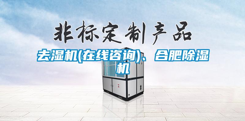 去濕機(在線咨詢)、合肥除濕機