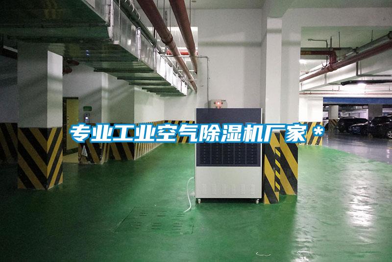 專業工業空氣除濕機廠家＊