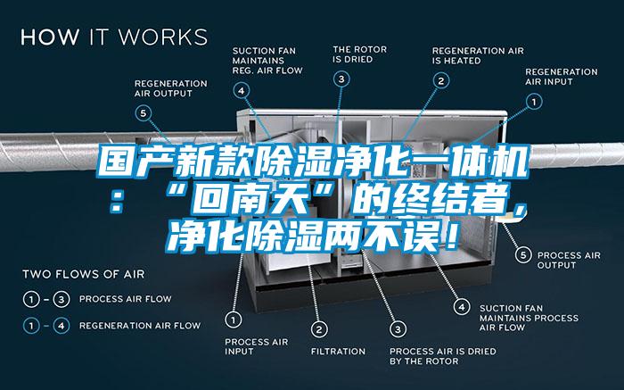 國產新款除濕凈化一體機：“回南天”的終結者，凈化除濕兩不誤！