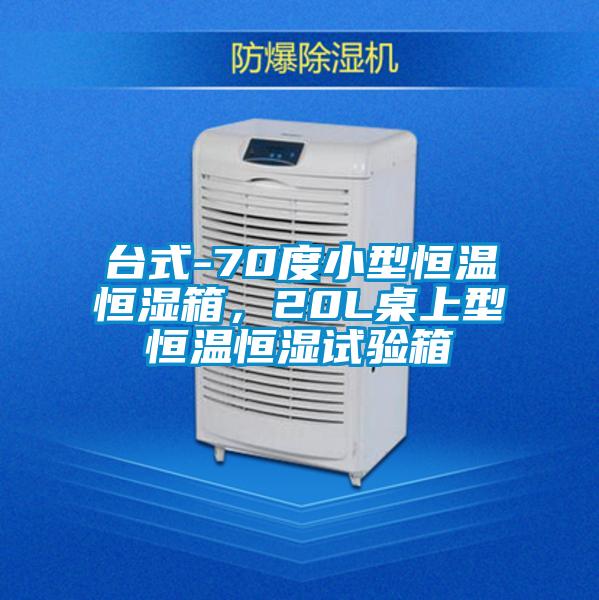 臺式-70度小型恒溫恒濕箱，20L桌上型恒溫恒濕試驗箱