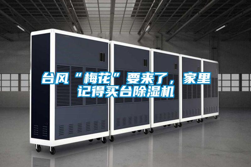 臺風“梅花”要來了，家里記得買臺除濕機