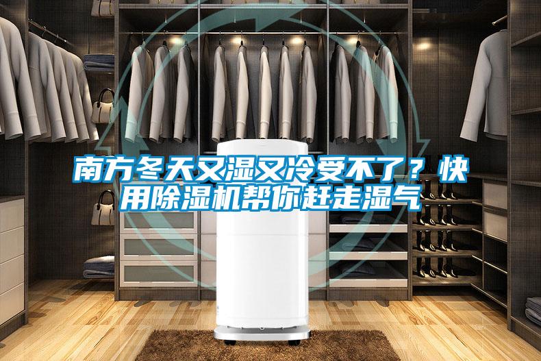 南方冬天又濕又冷受不了？快用除濕機幫你趕走濕氣
