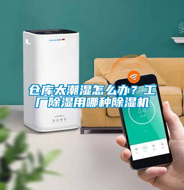 倉庫太潮濕怎么辦？工廠除濕用哪種除濕機