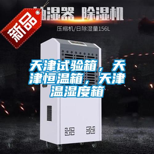 天津試驗箱，天津恒溫箱，天津溫濕度箱