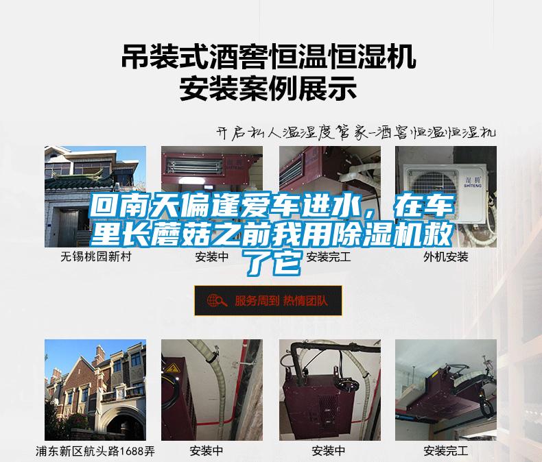 回南天偏逢愛車進水，在車里長蘑菇之前我用除濕機救了它