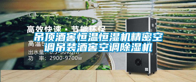 吊頂酒窖恒溫恒濕機精密空調吊裝酒窖空調除濕機