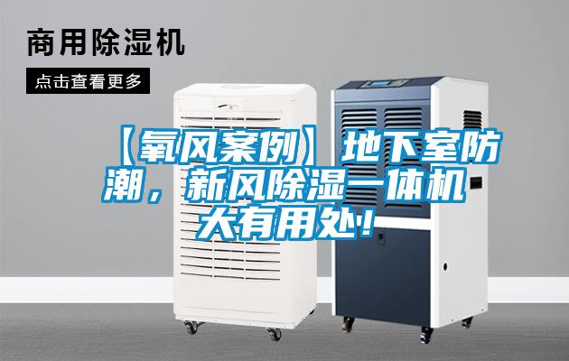 【氧風案例】地下室防潮，新風除濕一體機大有用處！