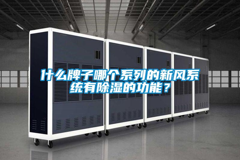 什么牌子哪個系列的新風系統有除濕的功能？