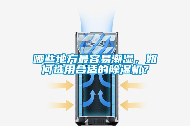 哪些地方最容易潮濕，如何選用合適的除濕機？