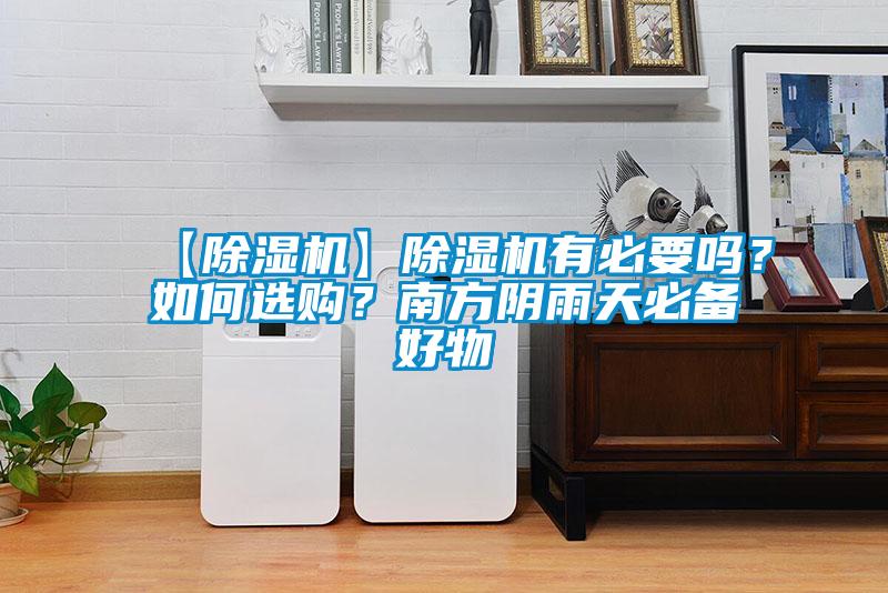 【除濕機】除濕機有必要嗎？如何選購？南方陰雨天必備好物