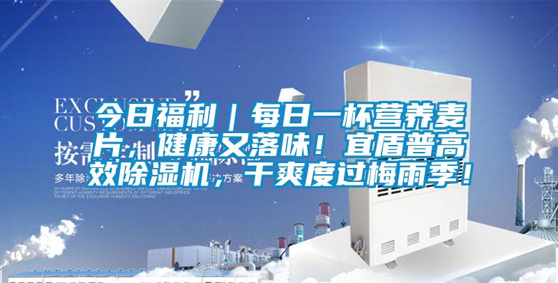 今日福利｜每日一杯營養麥片，健康又落味！宜盾普高效除濕機，干爽度過梅雨季！