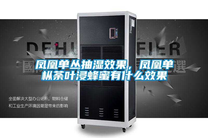 鳳凰單叢抽濕效果，鳳凰單樅荼葉浸蜂蜜有什么效果