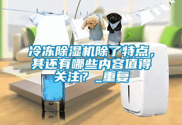 冷凍除濕機除了特點，其還有哪些內容值得關注？_重復