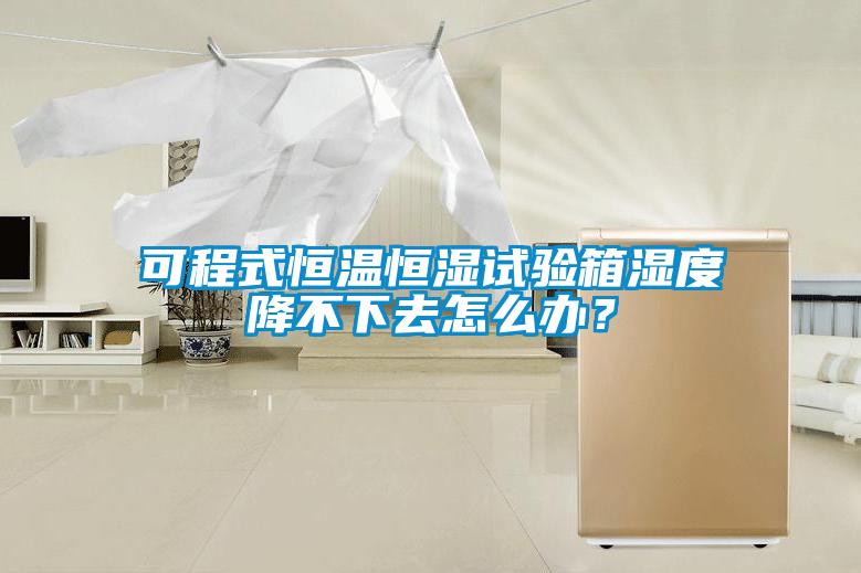 可程式恒溫恒濕試驗箱濕度降不下去怎么辦？