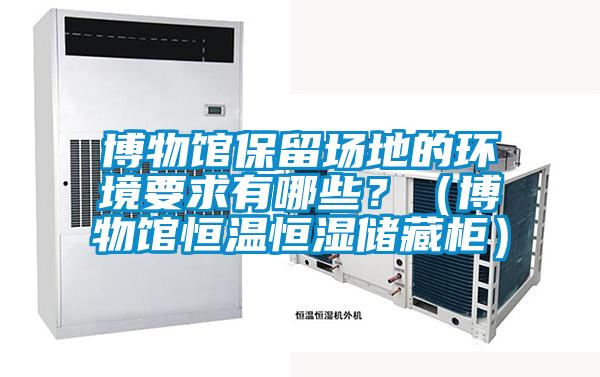 博物館保留場地的環境要求有哪些？（博物館恒溫恒濕儲藏柜）