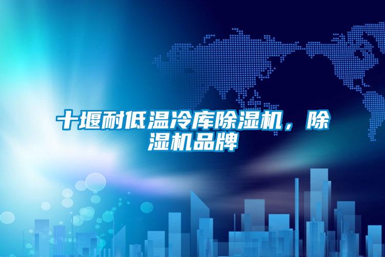 十堰耐低溫冷庫除濕機，除濕機品牌