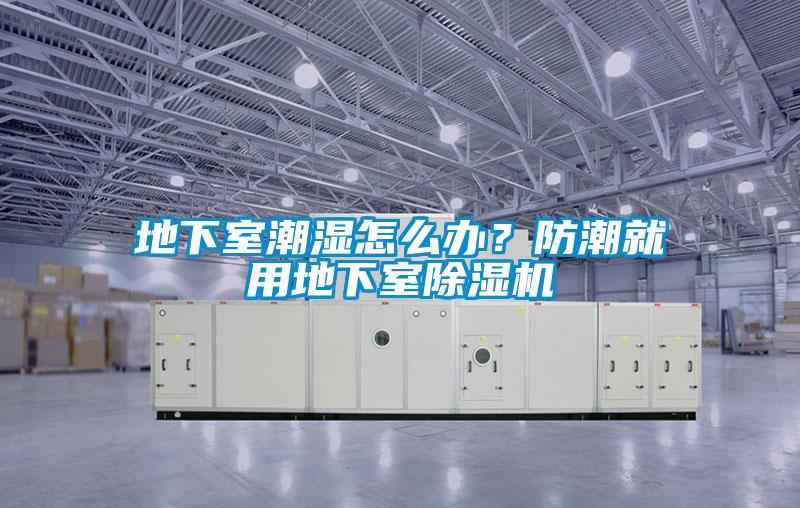 地下室潮濕怎么辦？防潮就用地下室除濕機