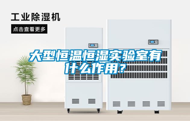 大型恒溫恒濕實驗室有什么作用？