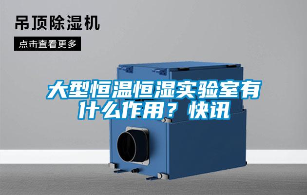 大型恒溫恒濕實驗室有什么作用？快訊