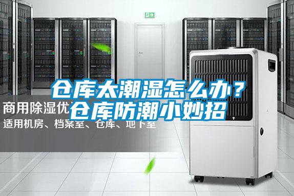 倉庫太潮濕怎么辦？倉庫防潮小妙招