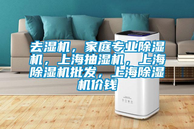 去濕機，家庭專業除濕機，上海抽濕機，上海除濕機批發，上海除濕機價錢