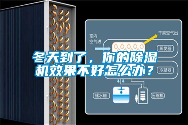 冬天到了，你的除濕機效果不好怎么辦？