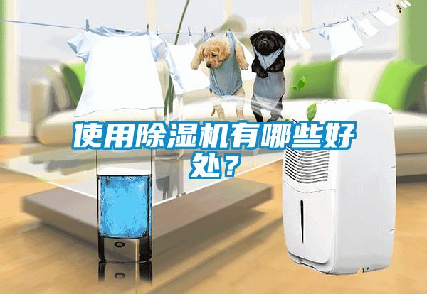 使用除濕機有哪些好處？