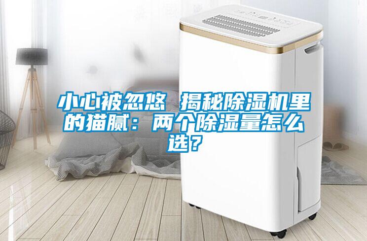 小心被忽悠 揭秘除濕機里的貓膩：兩個除濕量怎么選？