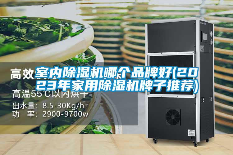 室內除濕機哪個品牌好(2023年家用除濕機牌子推薦)