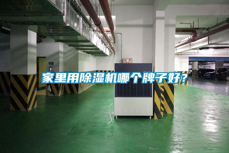 家里用除濕機哪個牌子好？