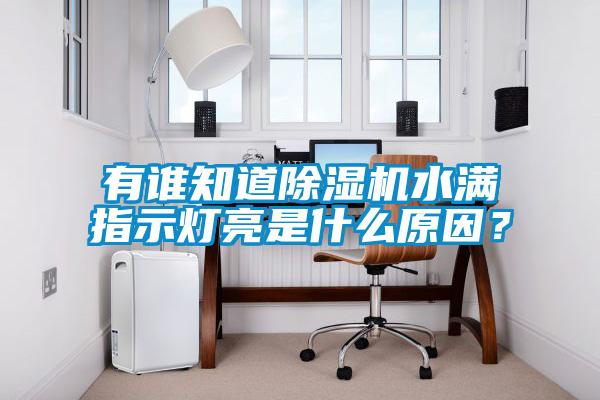 有誰知道除濕機水滿指示燈亮是什么原因？