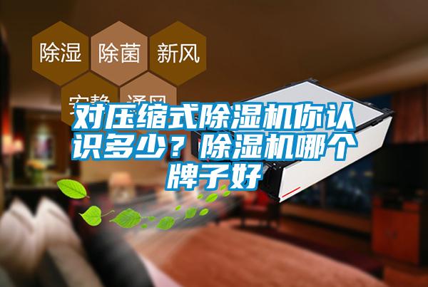 對壓縮式除濕機你認識多少？除濕機哪個牌子好