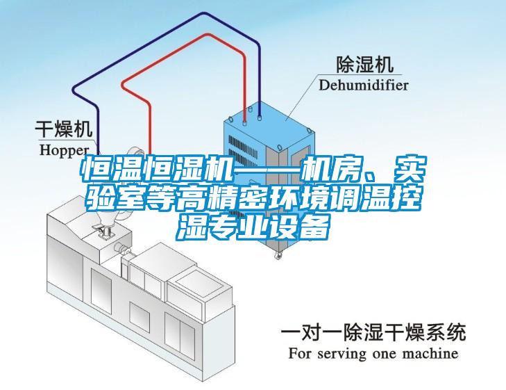 恒溫恒濕機——機房、實驗室等高精密環境調溫控濕專業設備