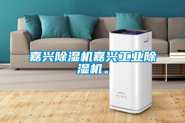 嘉興除濕機嘉興工業除濕機。